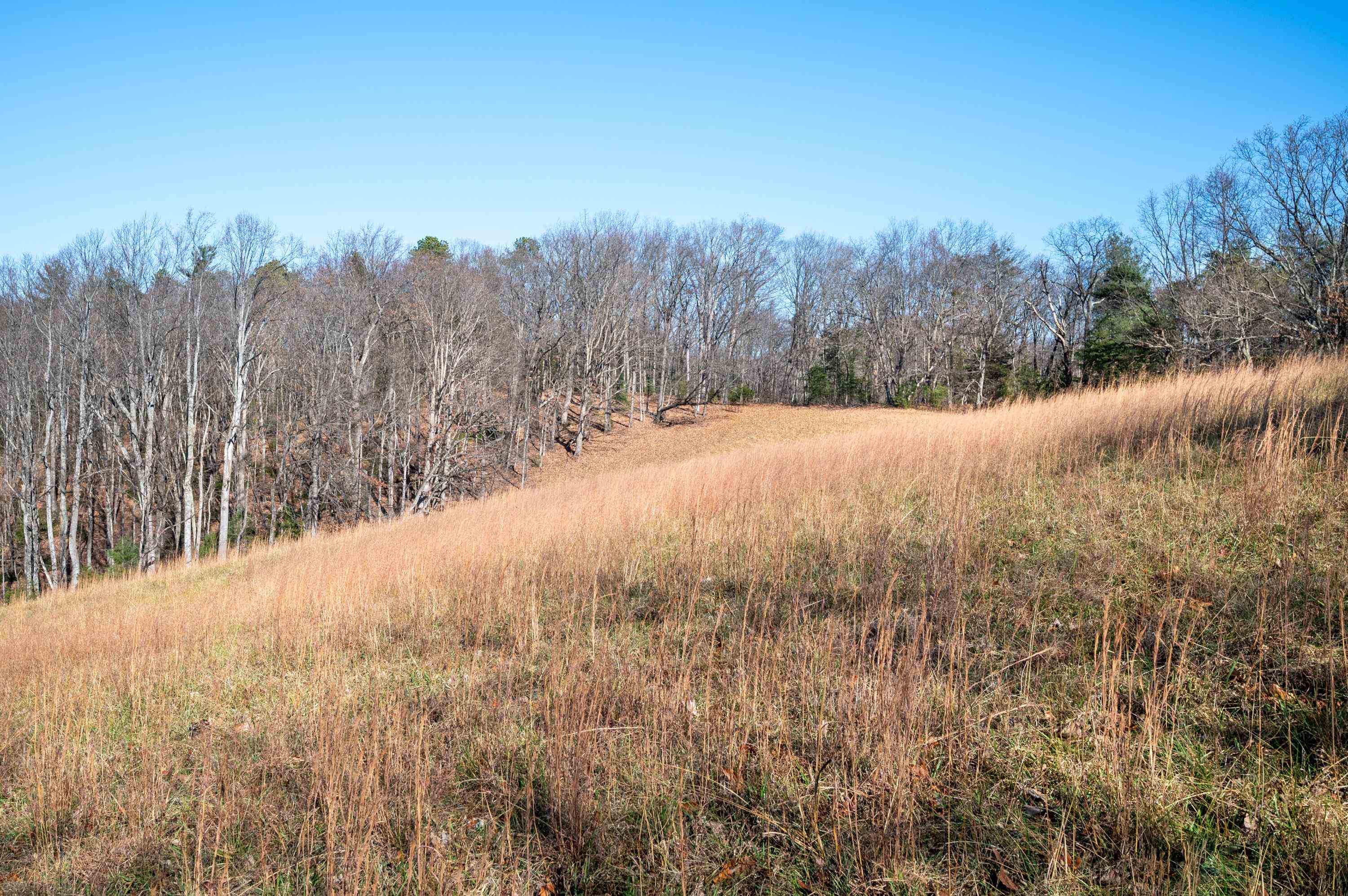800 Runnett Bag Road Ferrum, VA 24088 - Photo 43 of 76 Gallery Image 43