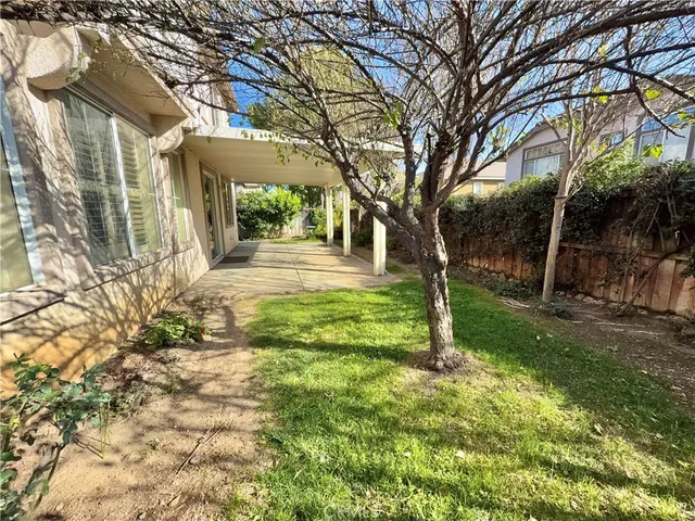 a view of a yard with plants and large trees
