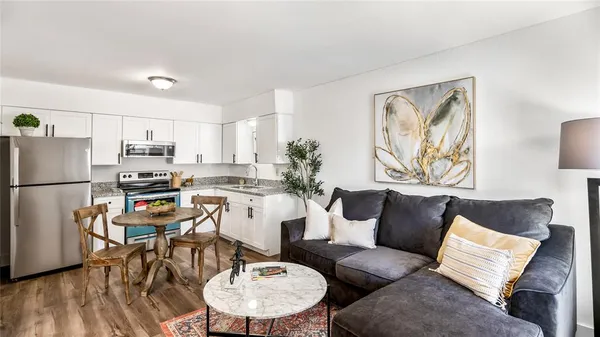 a living room with furniture and a potted plant