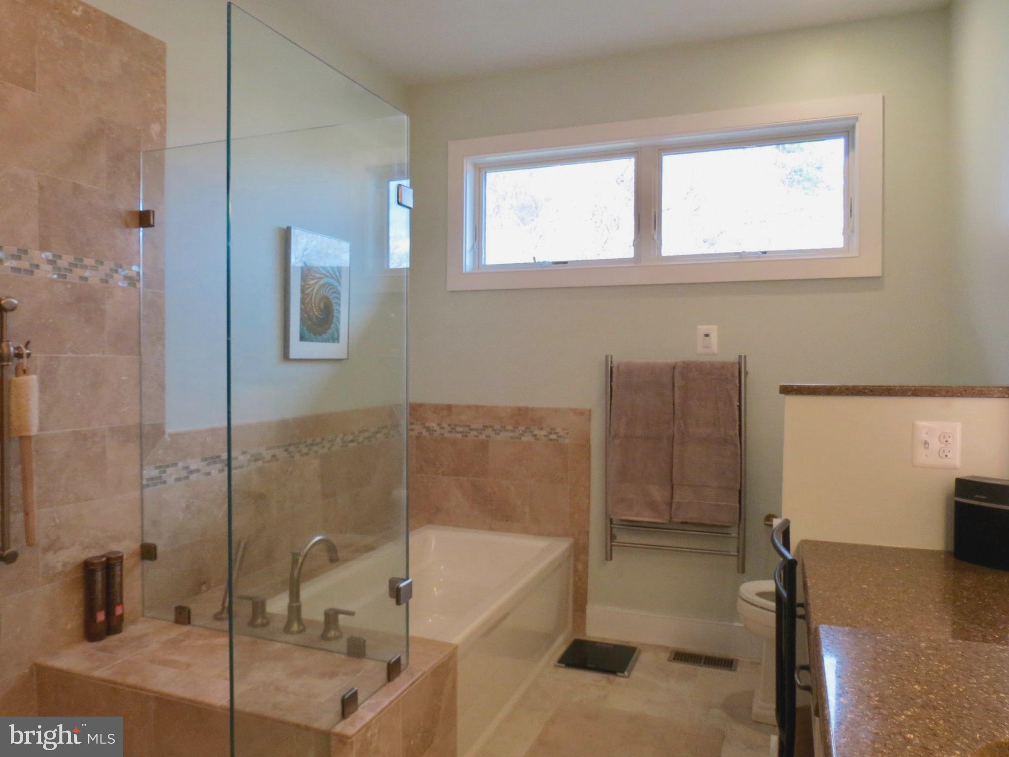335 Fodderstack Road Washington, VA 22747 - Photo 22 of 52 Master Bath soaking tub. Heated floor!