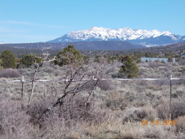 $225,000 | 44z South County Road 44Z Road South, Norwood, CO 81423