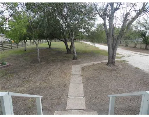 a view of some trees in the backyard