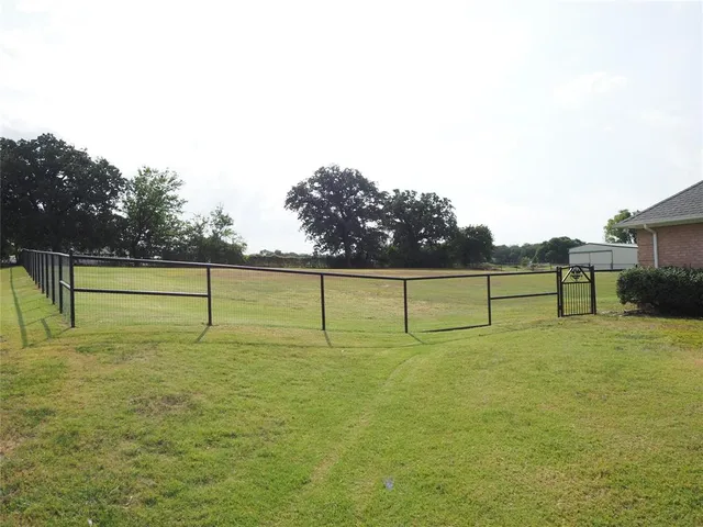 a view of a field with grass