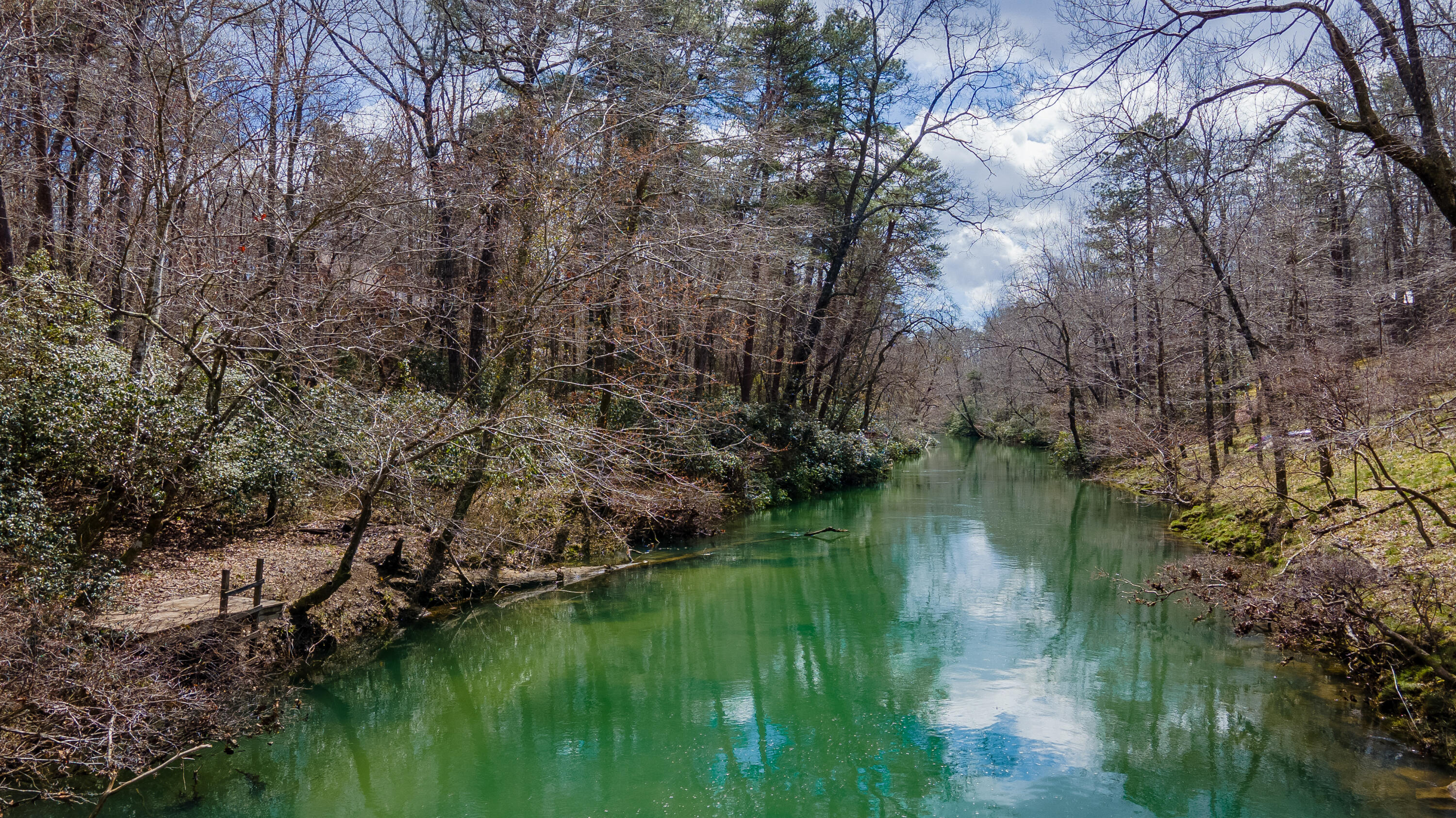 338 Moon Lake Road Mentone, AL 35984 - Photo 1 of 62 DJI_0279-HDR
