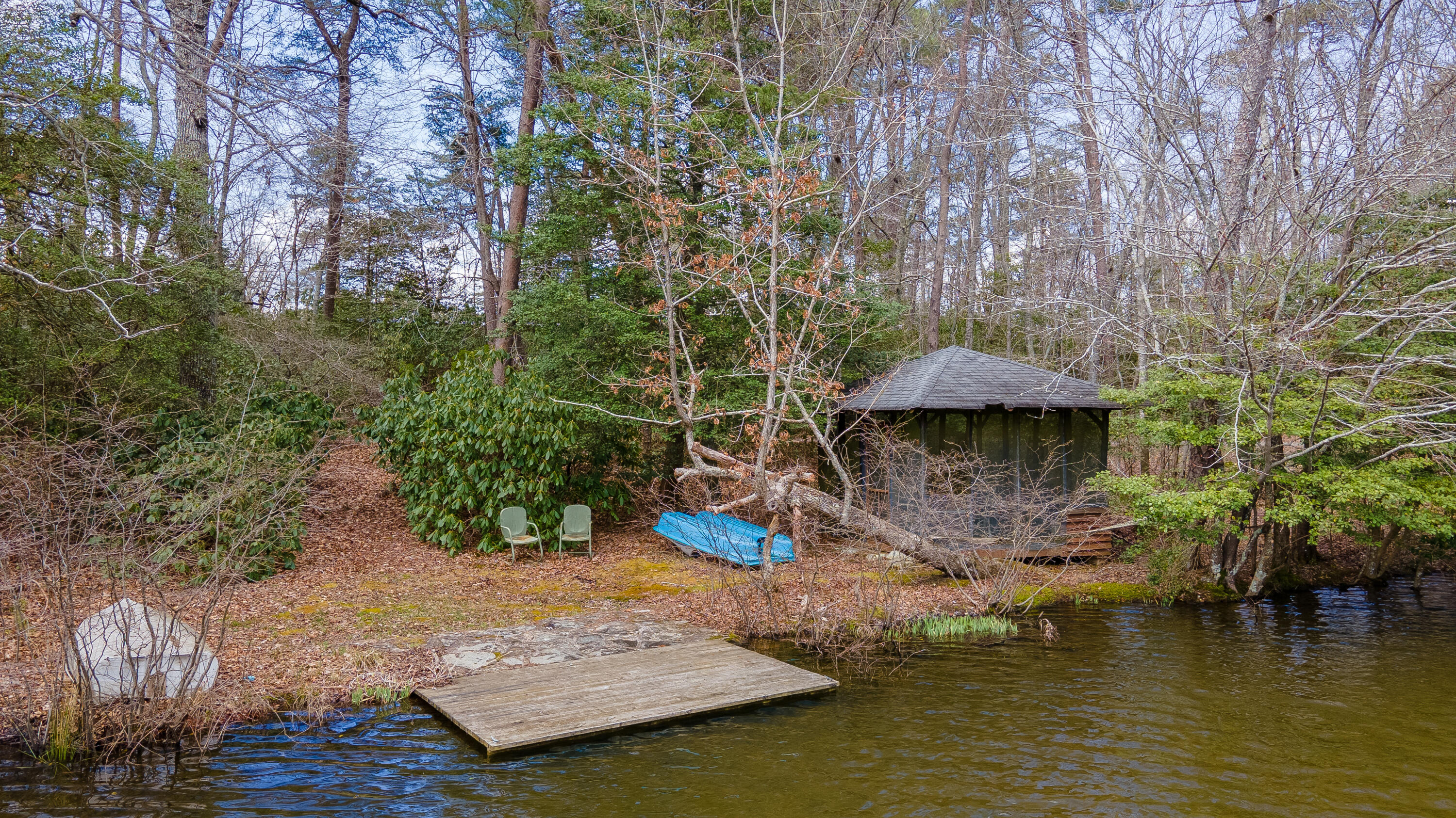 338 Moon Lake Road Mentone, AL 35984 - Photo 11 of 62 DJI_0174-HDR