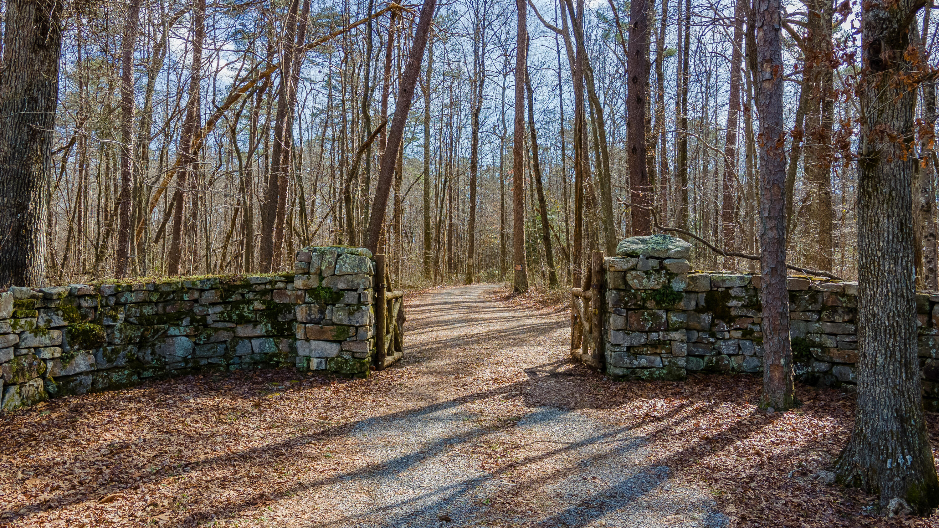 338 Moon Lake Road Mentone, AL 35984 - Photo 2 of 62 DJI_0344-HDR