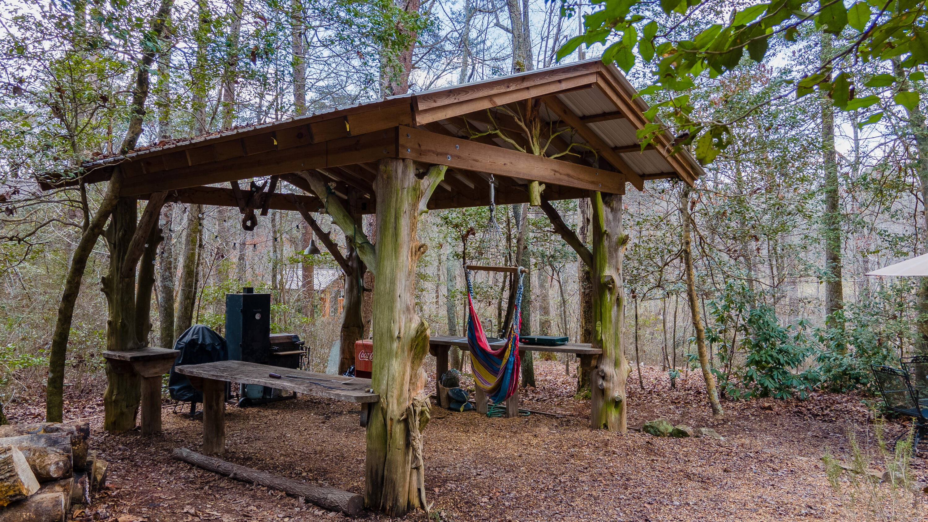 338 Moon Lake Road Mentone, AL 35984 - Photo 29 of 62 DJI_0264-HDR