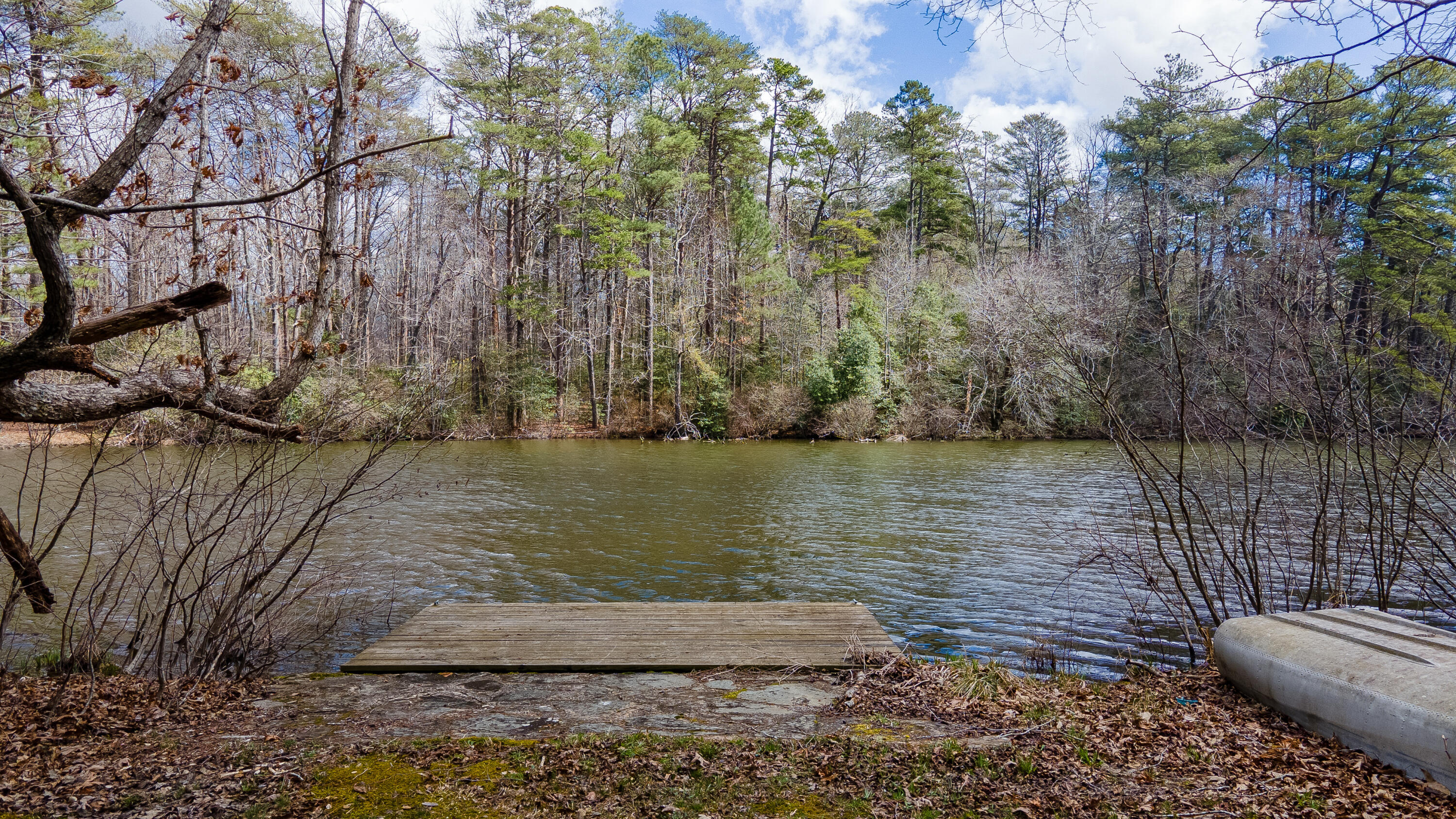 338 Moon Lake Road Mentone, AL 35984 - Photo 33 of 62 DJI_0169-HDR