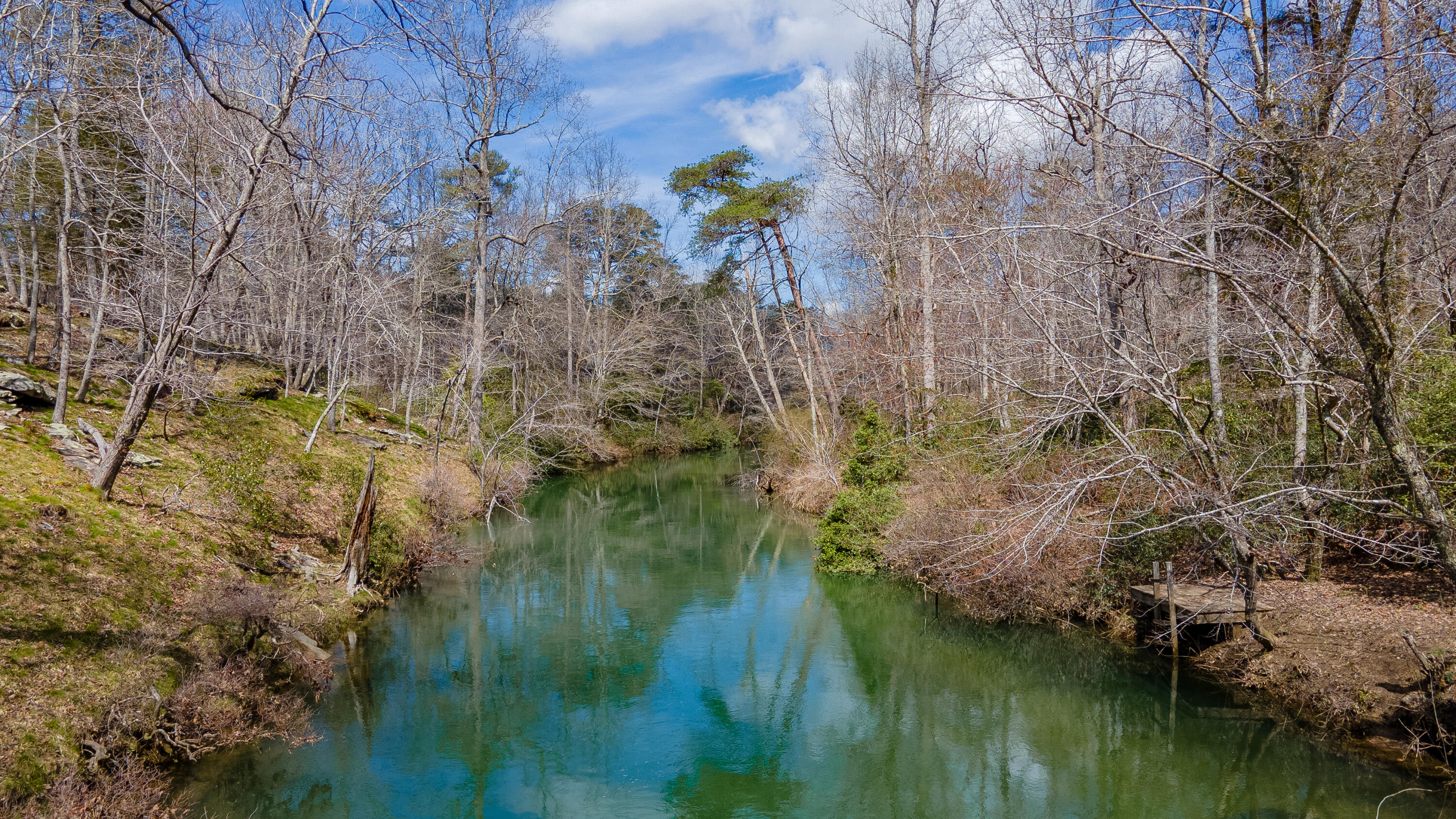 338 Moon Lake Road Mentone, AL 35984 - Photo 39 of 62 DJI_0284-HDR