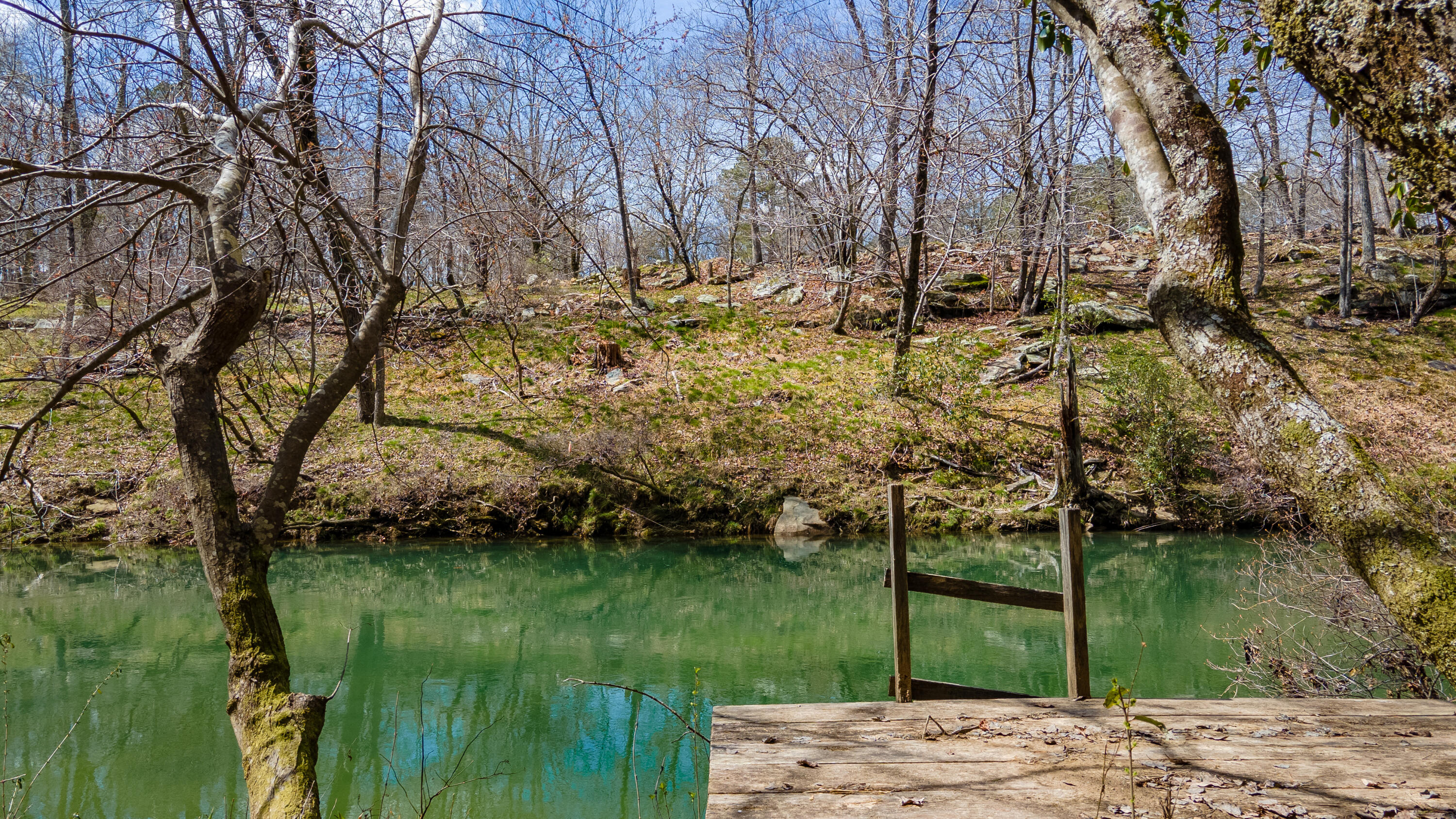 338 Moon Lake Road Mentone, AL 35984 - Photo 40 of 62 DJI_0289-HDR