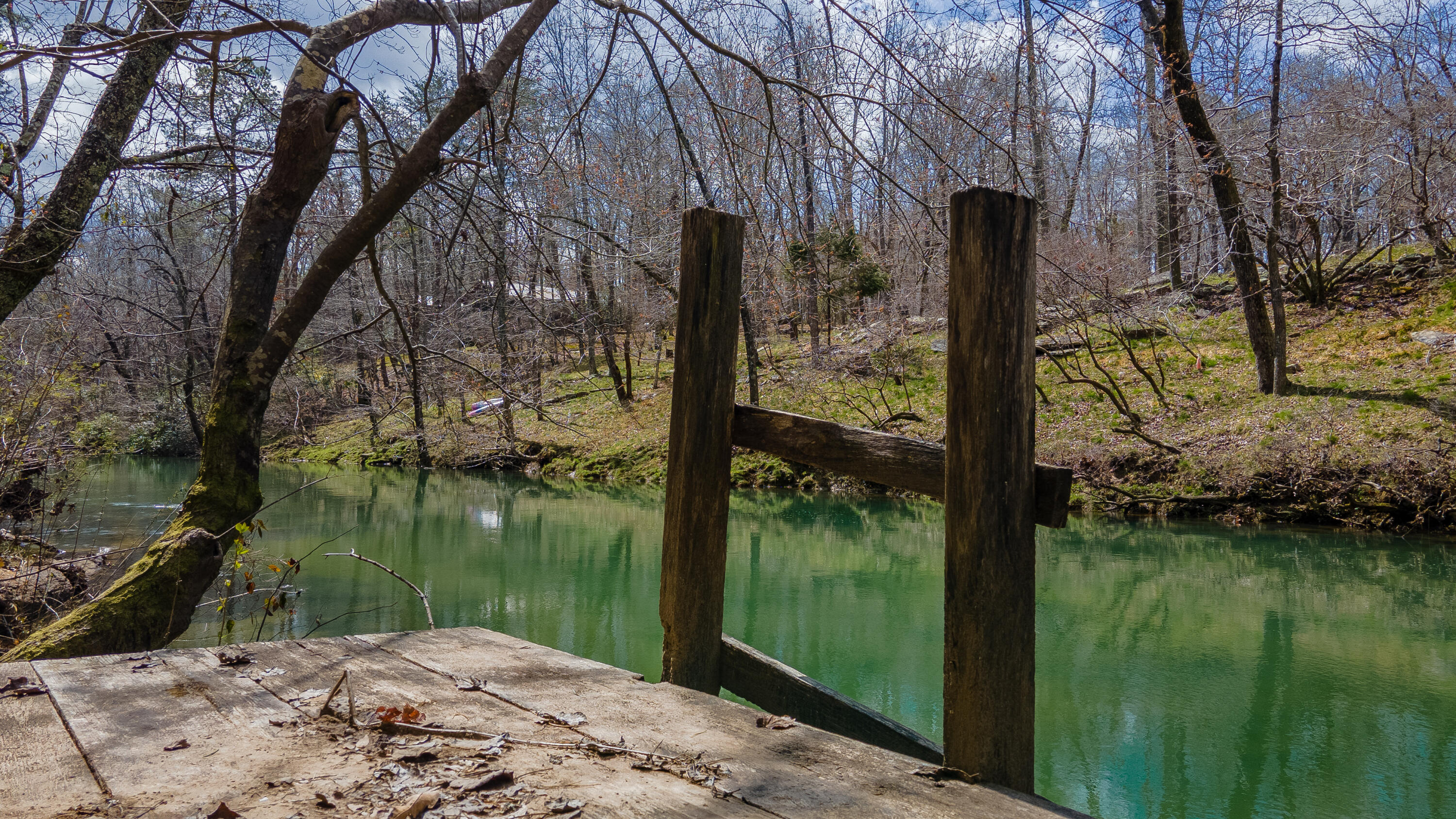 338 Moon Lake Road Mentone, AL 35984 - Photo 41 of 62 DJI_0294-HDR