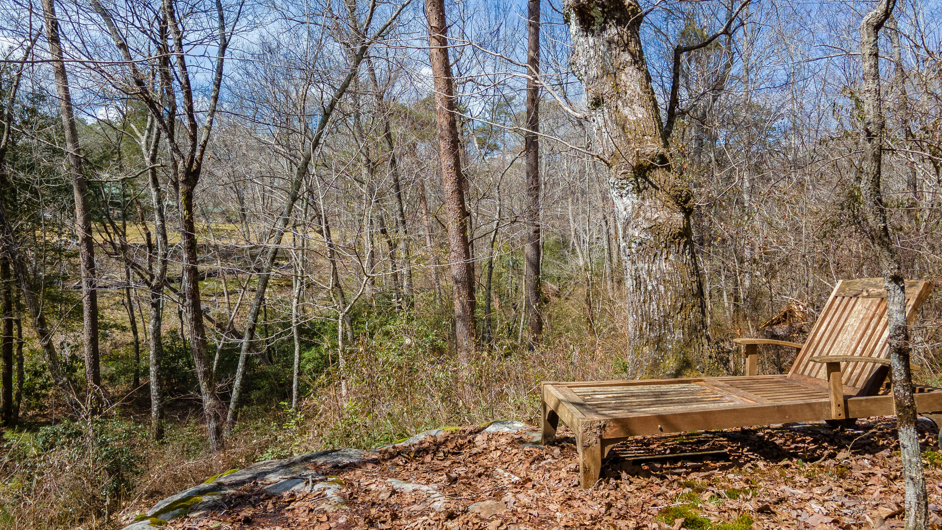 338 Moon Lake Road Mentone, AL 35984 - Photo 42 of 62 DJI_0314-HDR