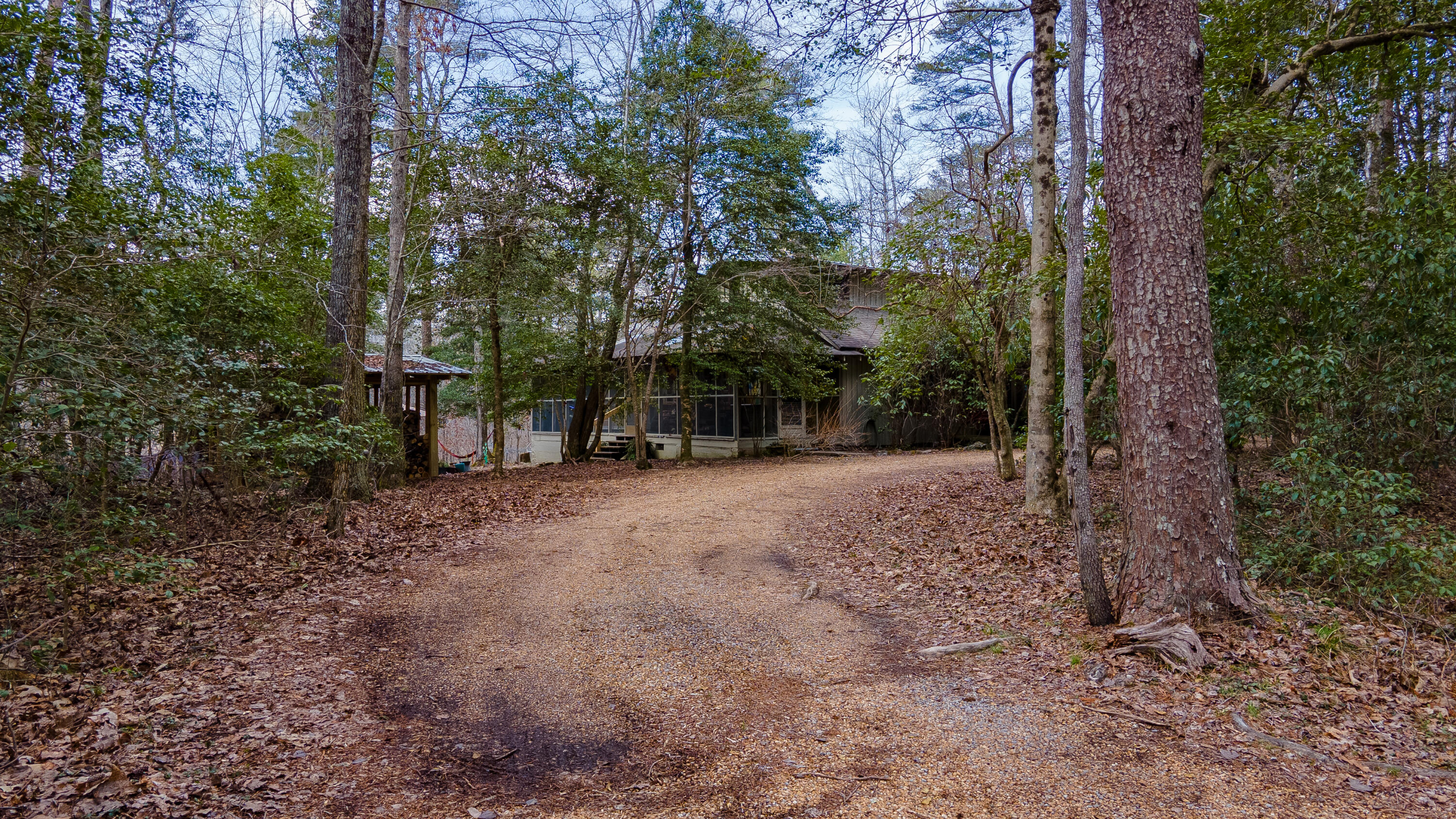 338 Moon Lake Road Mentone, AL 35984 - Photo 43 of 62 DJI_0229-HDR