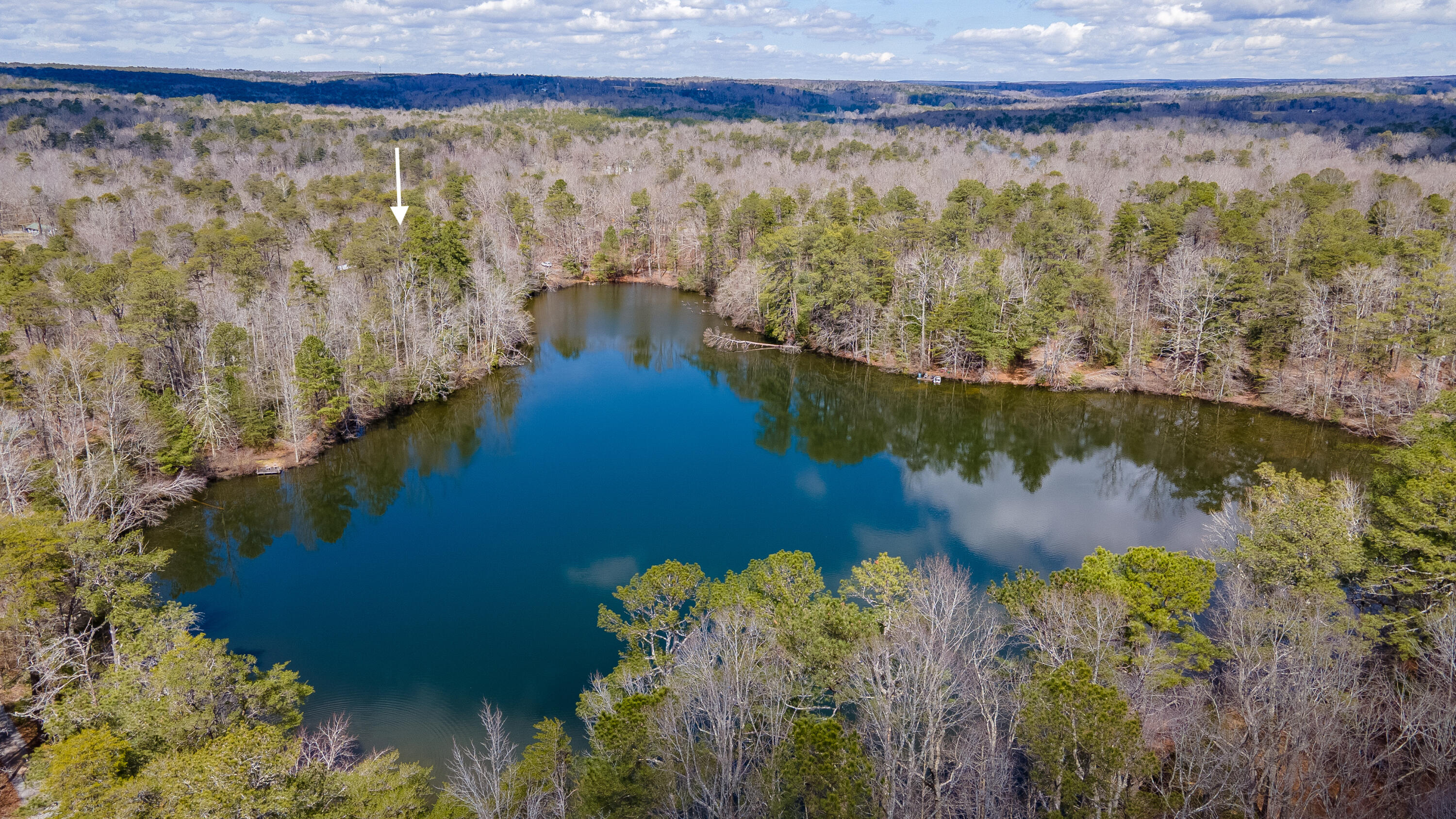 338 Moon Lake Road Mentone, AL 35984 - Photo 5 of 62 DJI_0209-HDR