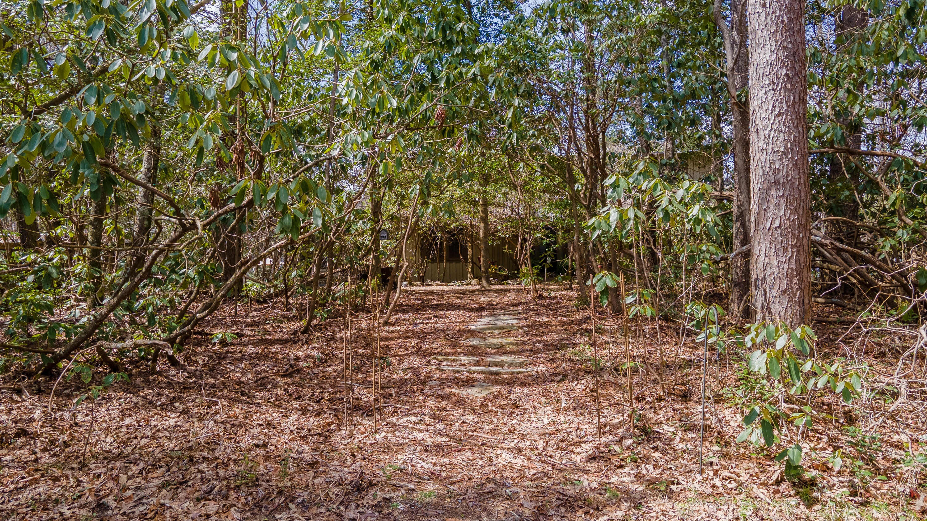 338 Moon Lake Road Mentone, AL 35984 - Photo 62 of 62 DJI_0224-HDR