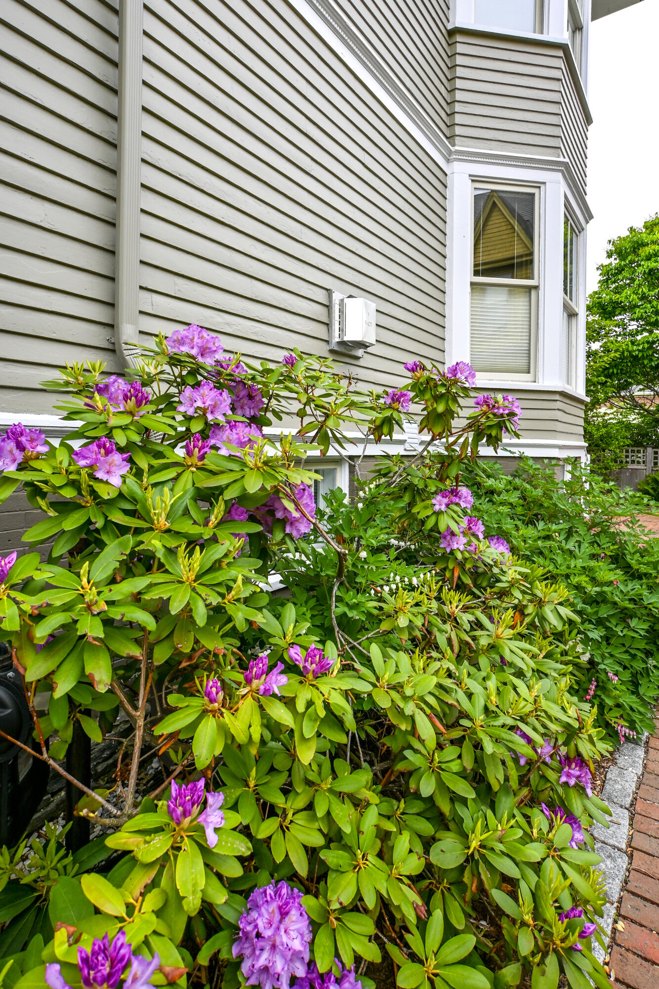 37 Carroll Street Portland, ME 04102 - Photo 67 of 74 37CarrollStPart2-18