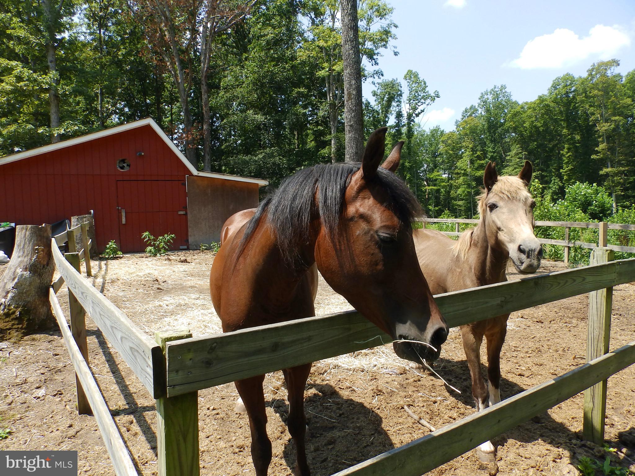 12640 Mill Road Fredericksburg, VA 22407 - Photo 1 of 47 Gallery Image 1