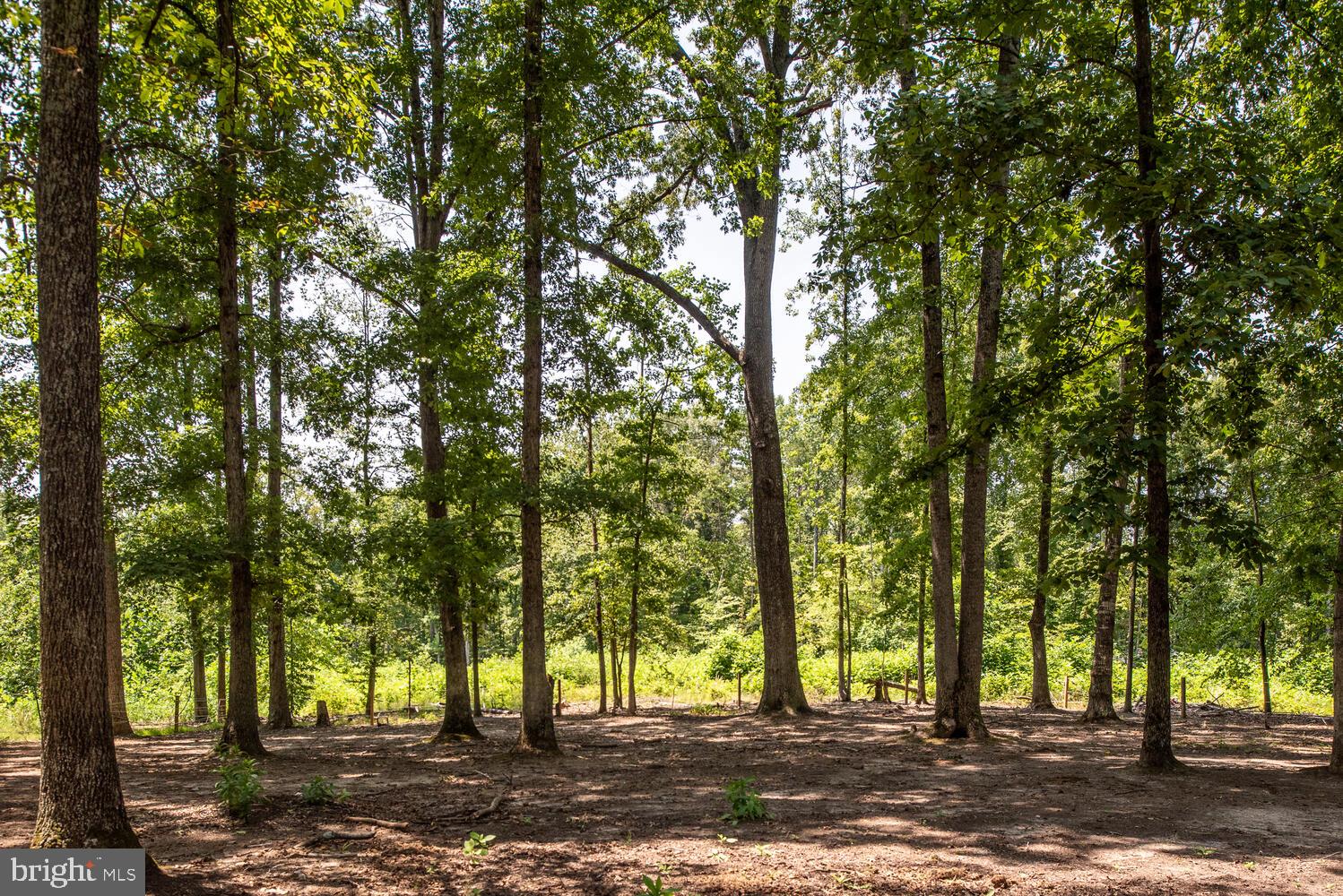 12640 Mill Road Fredericksburg, VA 22407 - Photo 34 of 47 Gallery Image 34