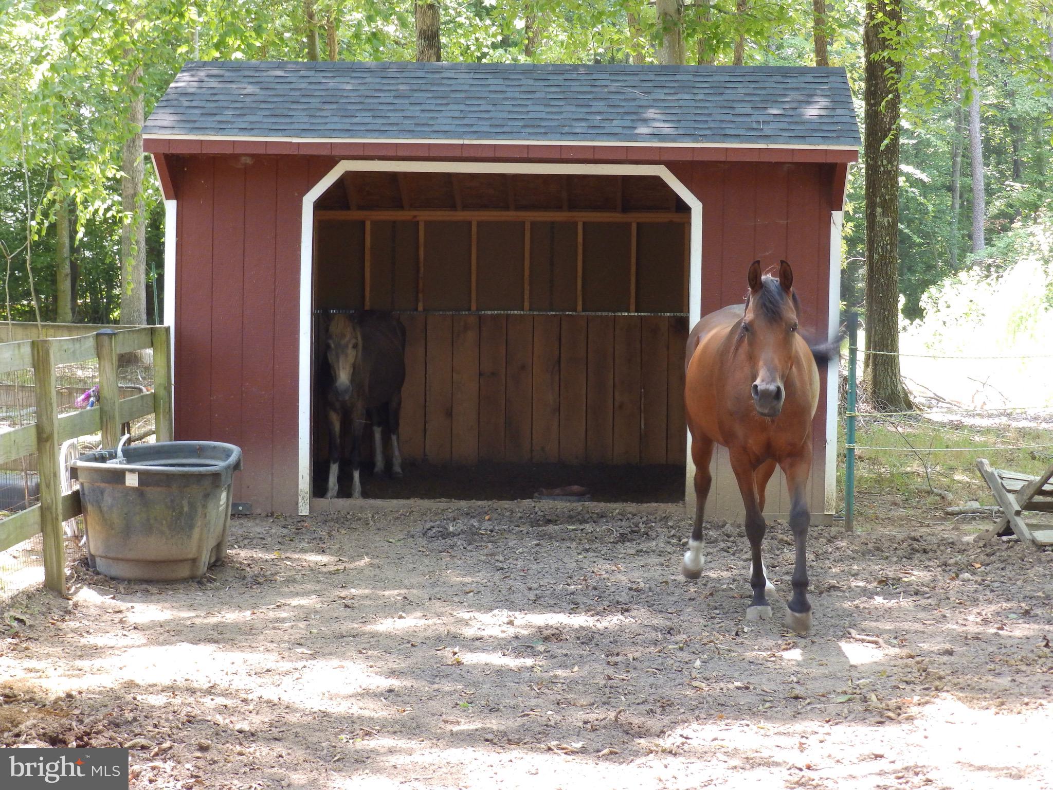 12640 Mill Road Fredericksburg, VA 22407 - Photo 36 of 47 Gallery Image 36