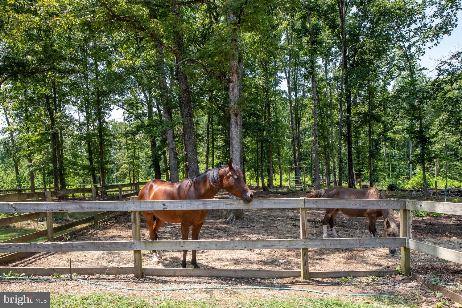 12640 Mill Road Fredericksburg, VA 22407 - Photo 5 of 47 Gallery Image 5