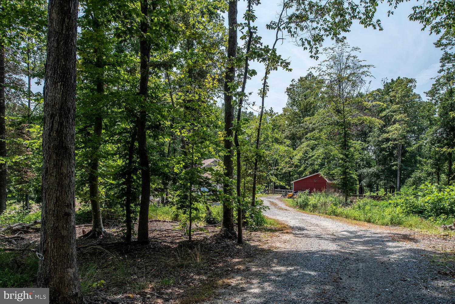 12640 Mill Road Fredericksburg, VA 22407 - Photo 41 of 47 Gallery Image 41