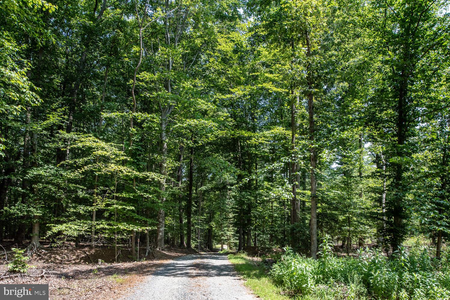 12640 Mill Road Fredericksburg, VA 22407 - Photo 42 of 47 Gallery Image 42