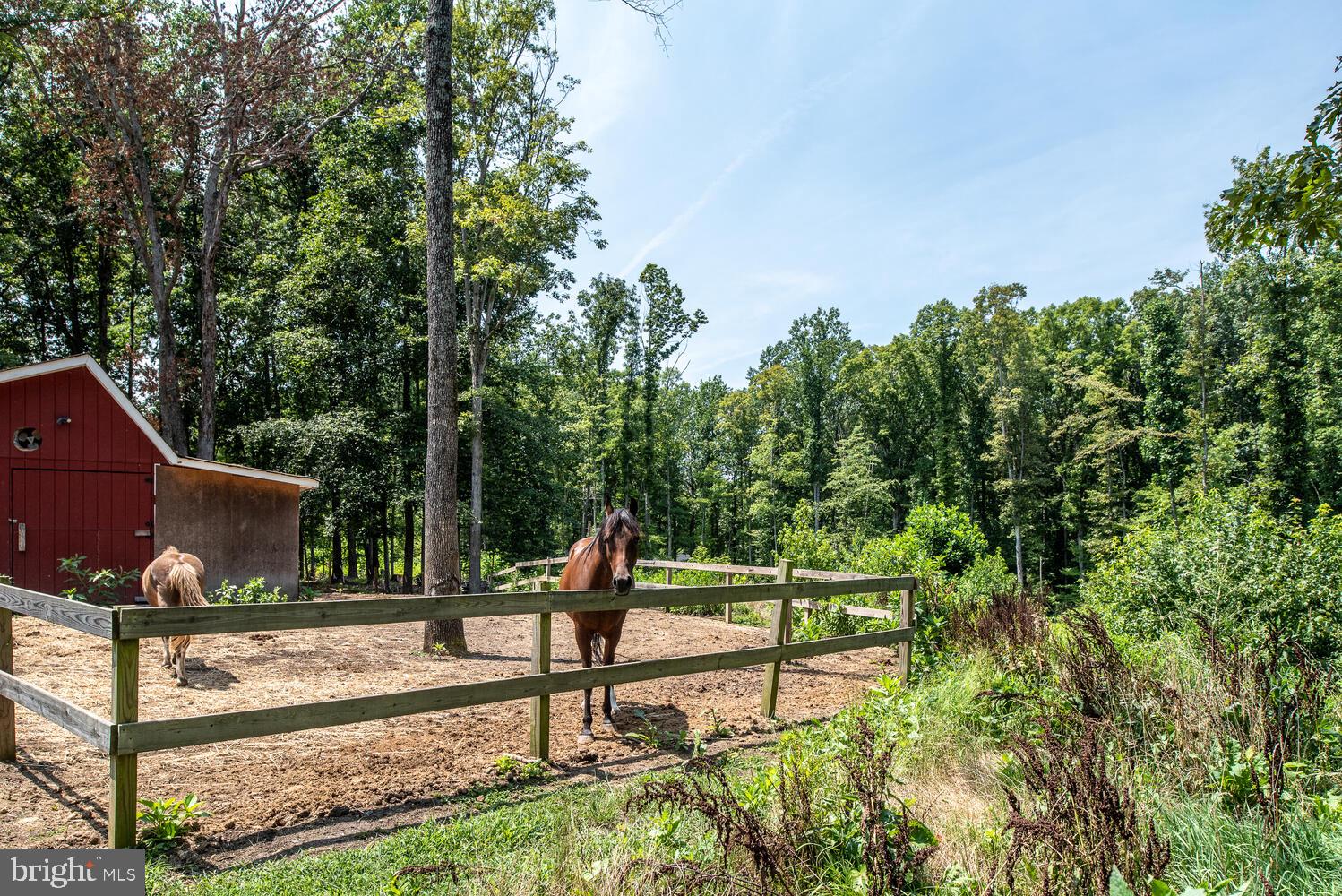 12640 Mill Road Fredericksburg, VA 22407 - Photo 43 of 47 Gallery Image 43