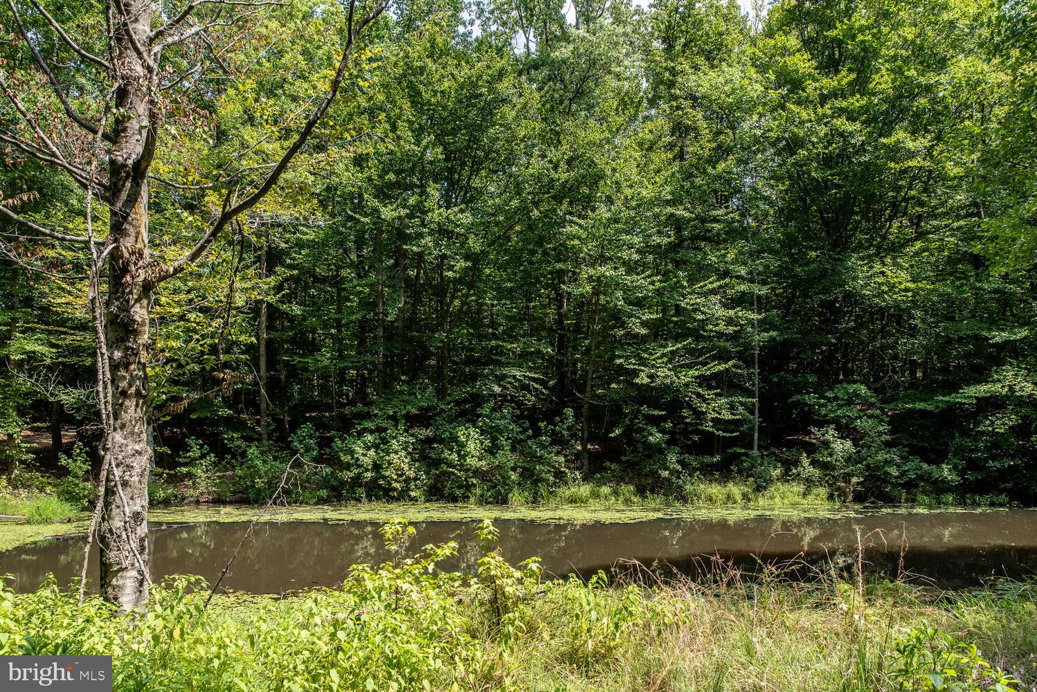 12640 Mill Road Fredericksburg, VA 22407 - Photo 46 of 47 Gallery Image 46