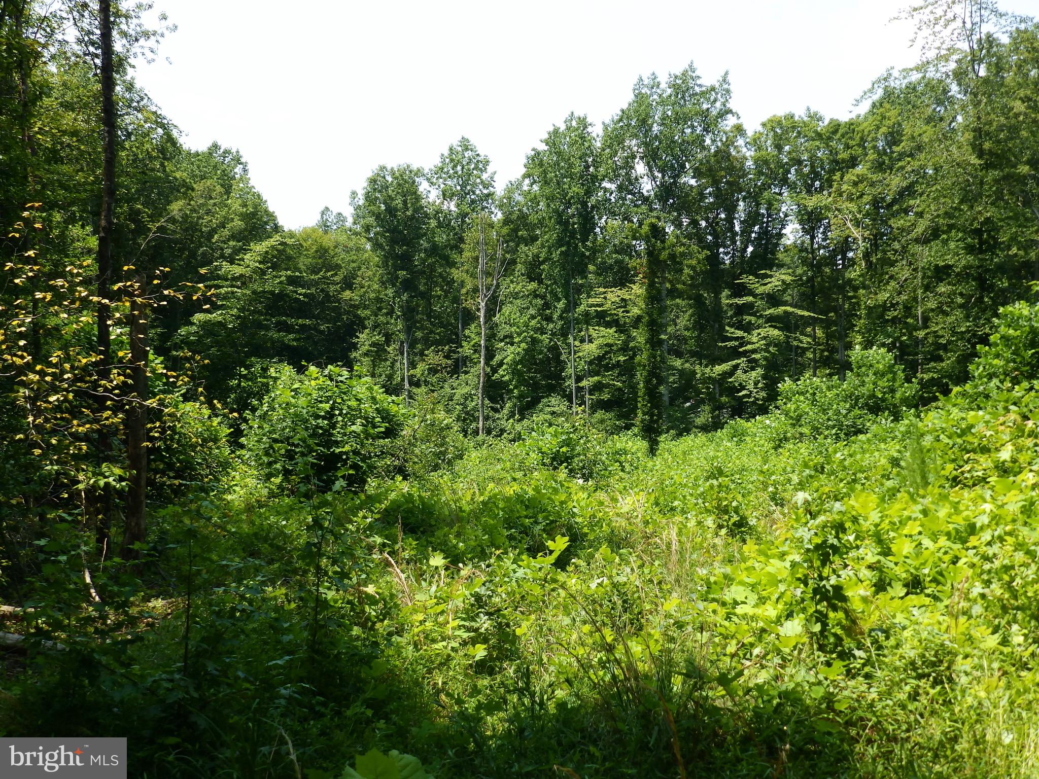 12640 Mill Road Fredericksburg, VA 22407 - Photo 47 of 47 Gallery Image 47