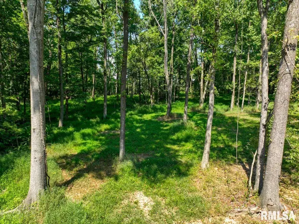 $175,000 | 6445 State Rte 146 East, Vienna, IL 62995