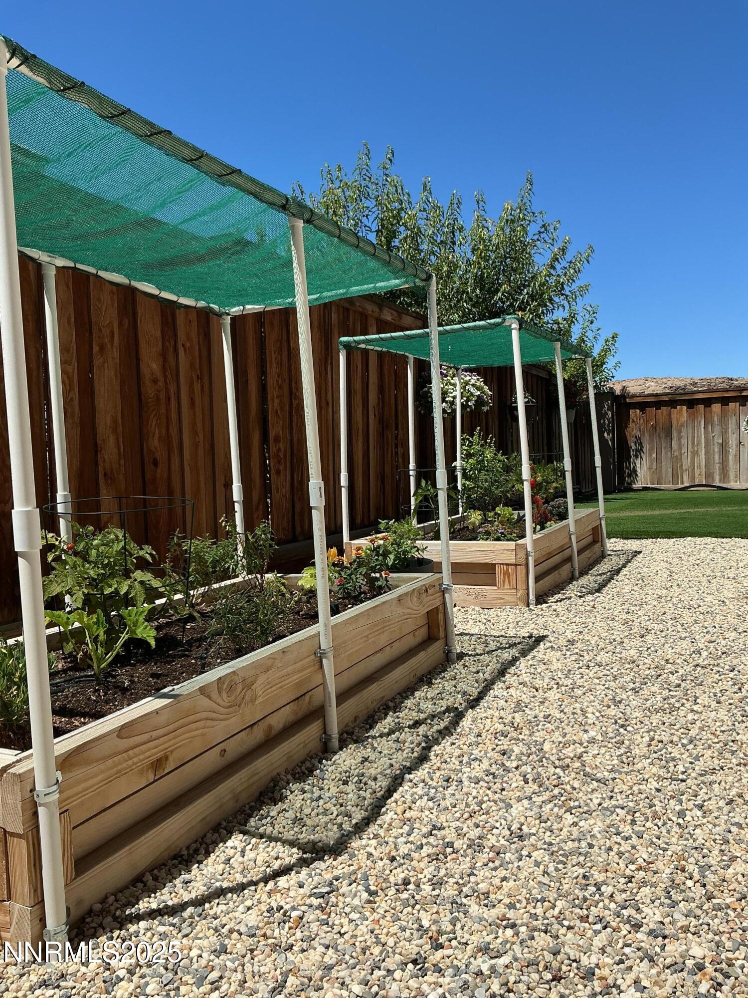 2642 Alessandro Court Sparks, NV 89434 - Photo 34 of 52 a view of a backyard with potted plants