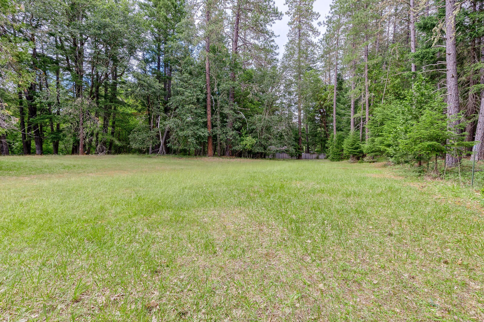 2444 Cedar Flat Road Williams, OR 97544 - Photo 31 of 74 16_CFR_16_mls