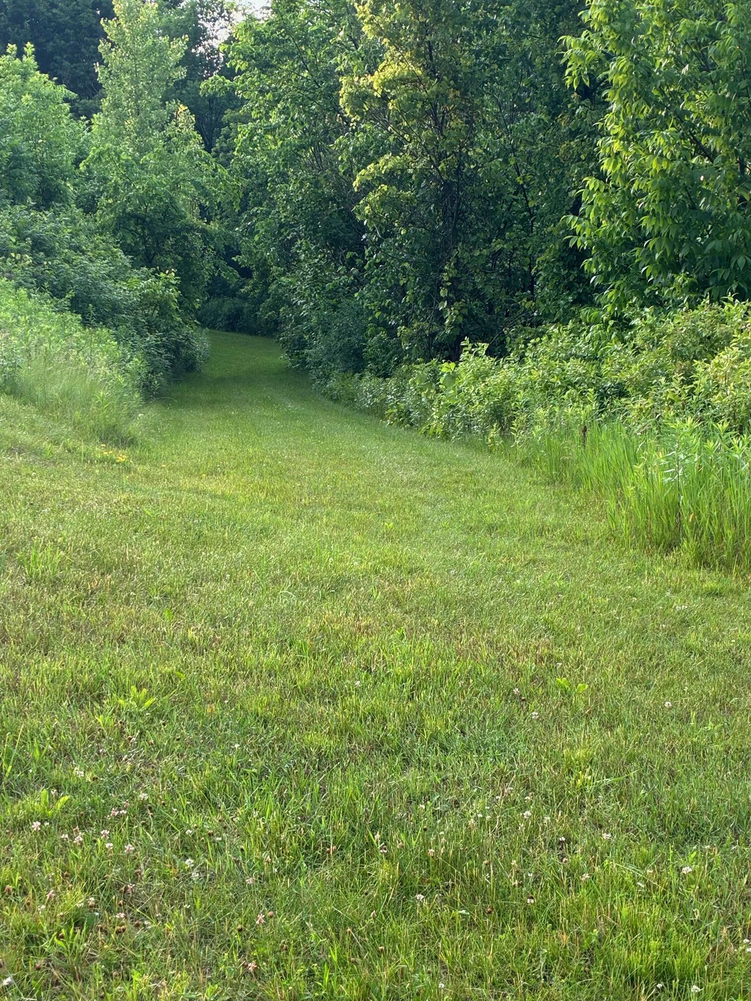 W8972 520th Avenue Ellsworth, WI 54011 - Photo 34 of 36