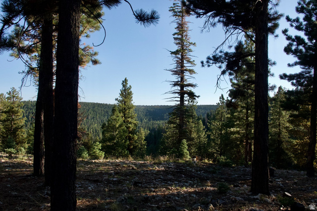 140 East Rim Road Duck Creek Village, UT 84762 - Photo 20 of 45 View of tree filled area