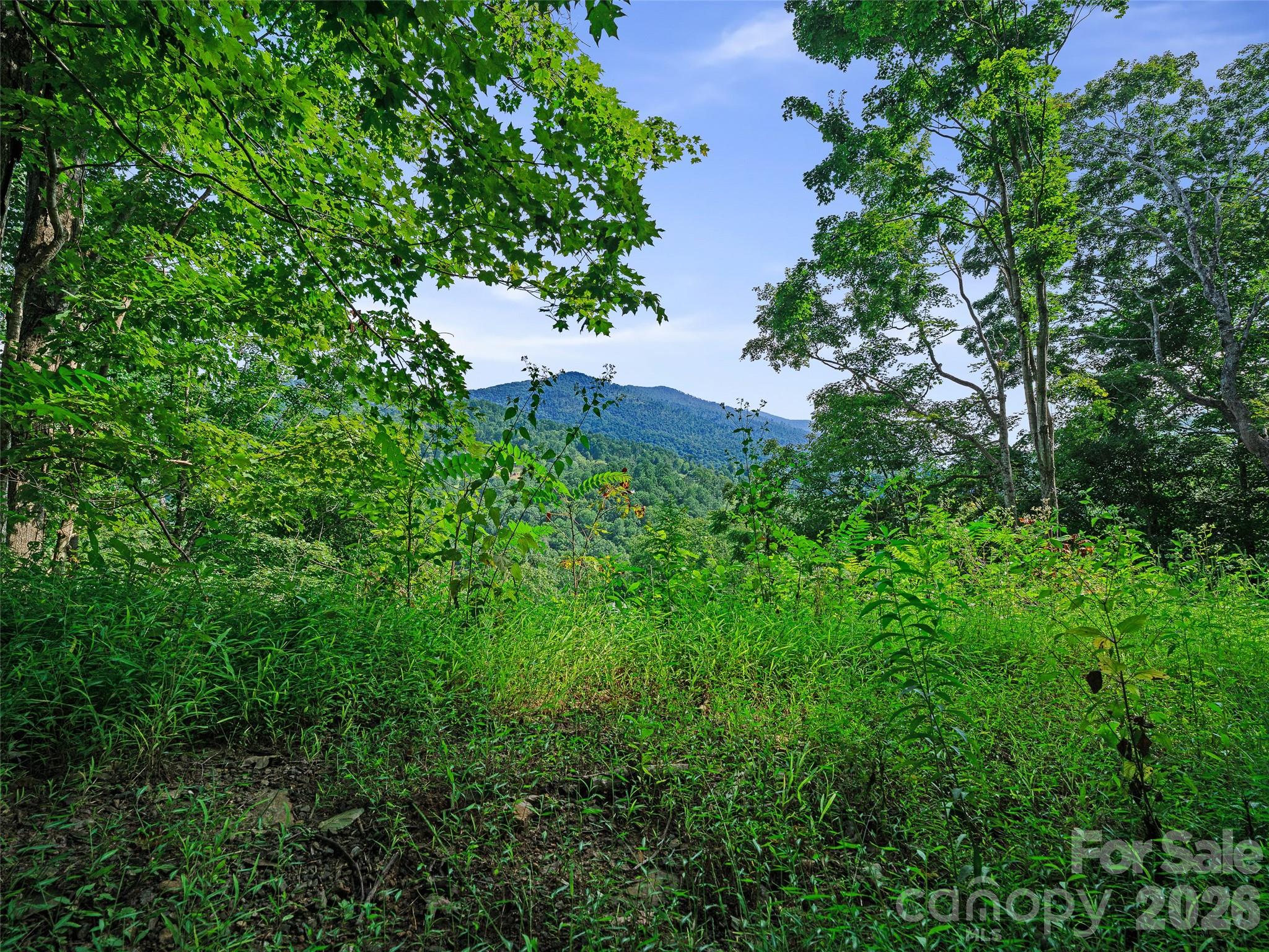 Lot #63-65 Lot#63-65 Bear Ridge Road Bakersville, NC 28705 - Photo 15 of 38 Gallery Image 15
