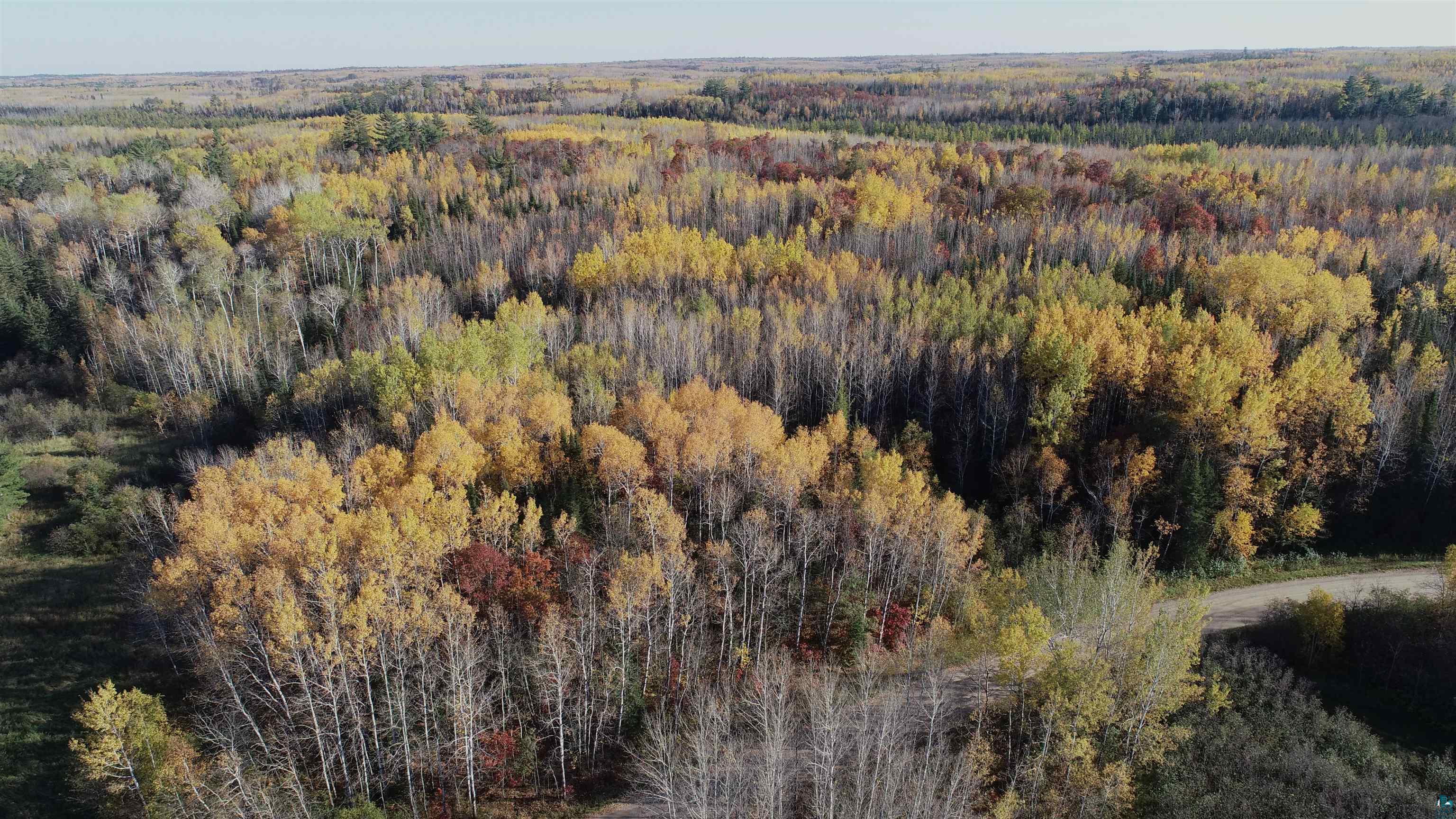 Xx40 Xx40 King Road Orr, MN 55771 - Photo 11 of 17 Gallery Image 11
