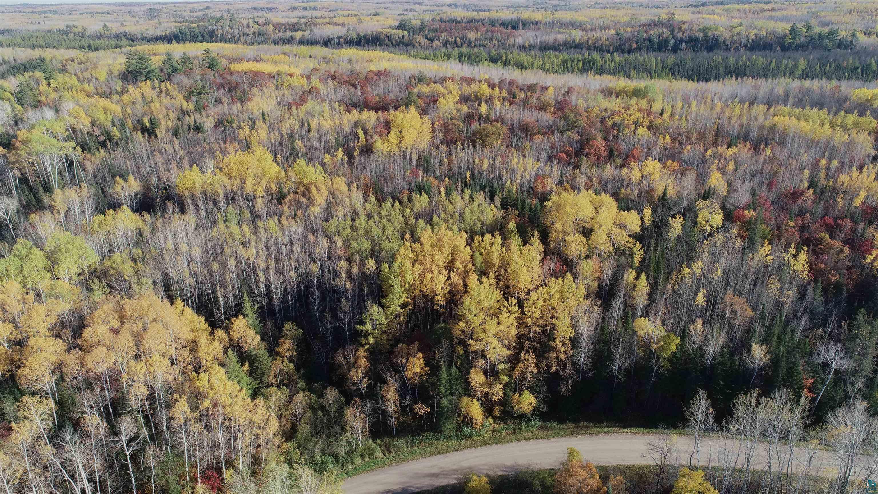 Xx40 Xx40 King Road Orr, MN 55771 - Photo 12 of 17 Gallery Image 12