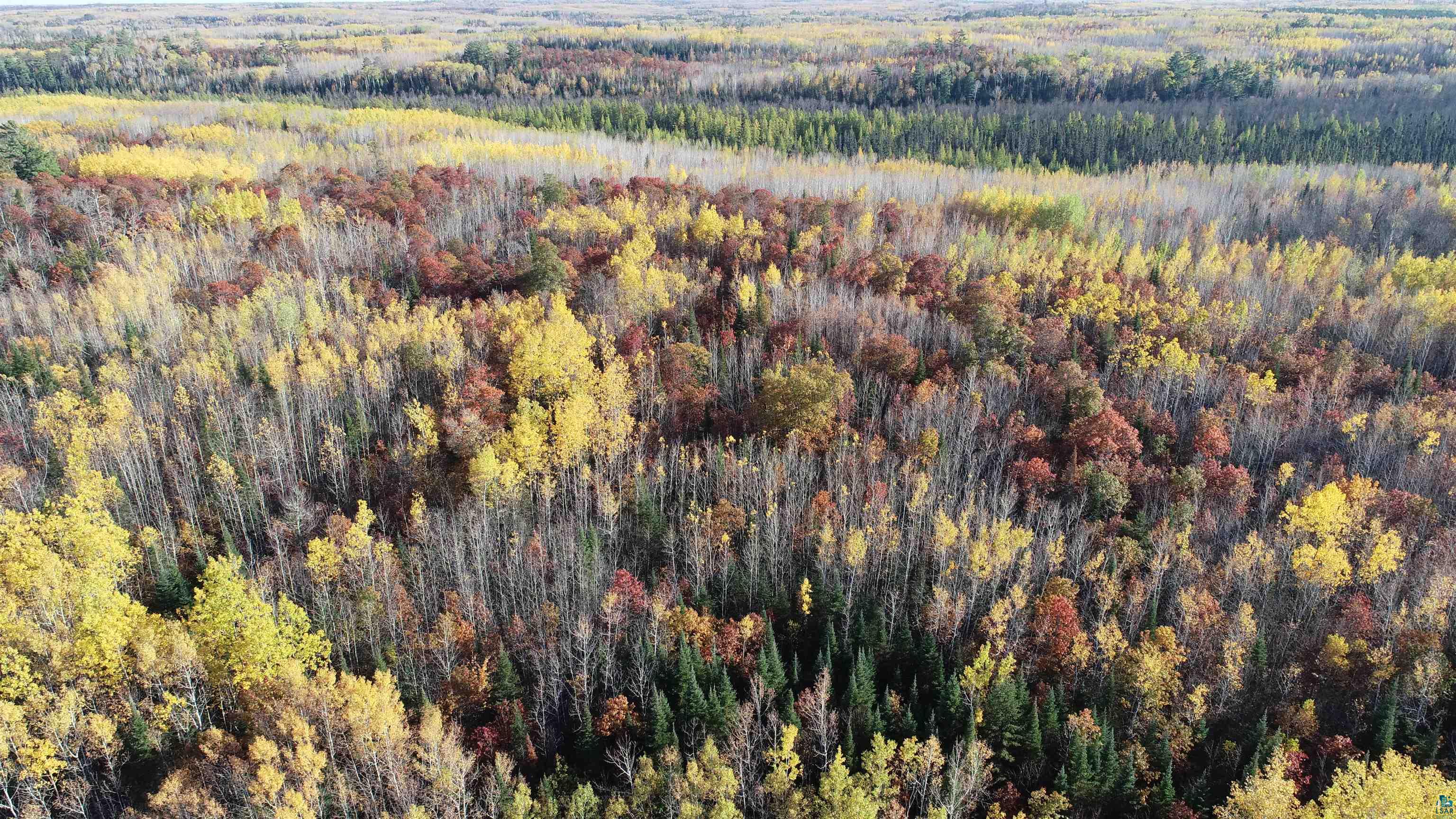 Xx40 Xx40 King Road Orr, MN 55771 - Photo 13 of 17 Gallery Image 13