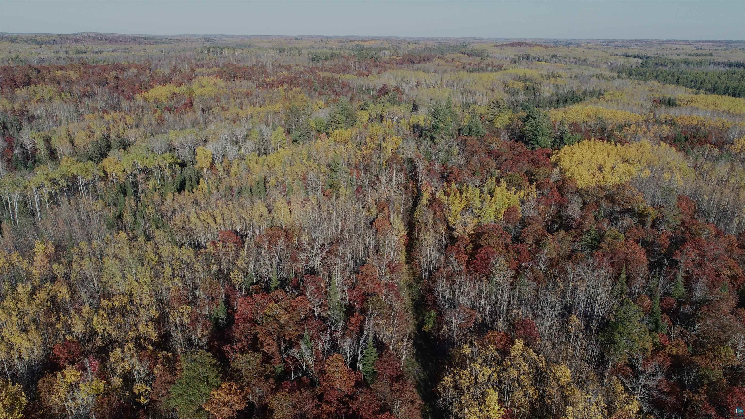 Xx40 Xx40 King Road Orr, MN 55771 - Photo 14 of 17 Gallery Image 14