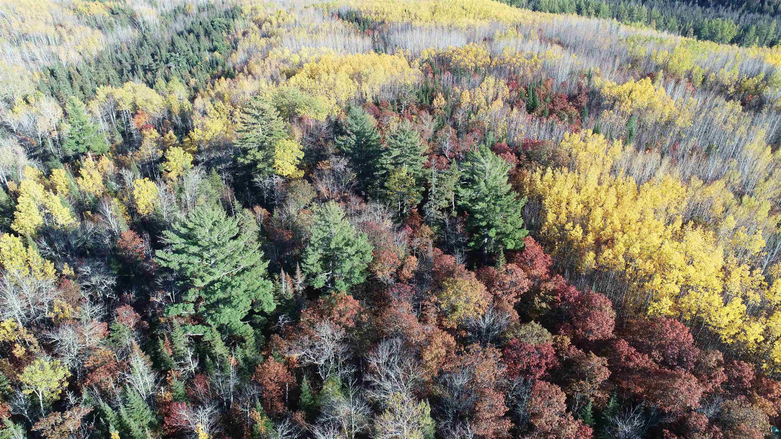 Xx40 Xx40 King Road Orr, MN 55771 - Photo 15 of 17 Gallery Image 15