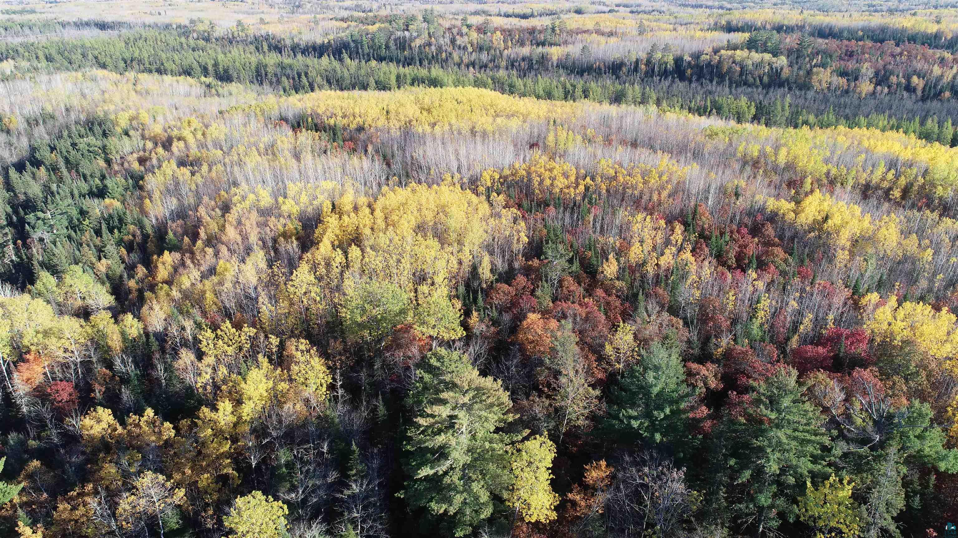 Xx40 Xx40 King Road Orr, MN 55771 - Photo 16 of 17 Gallery Image 16