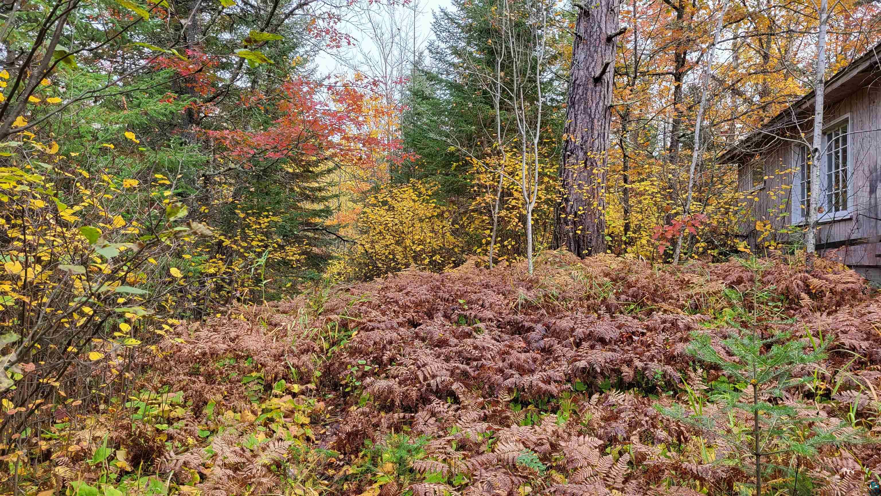 Xx40 Xx40 King Road Orr, MN 55771 - Photo 2 of 17 Gallery Image 2
