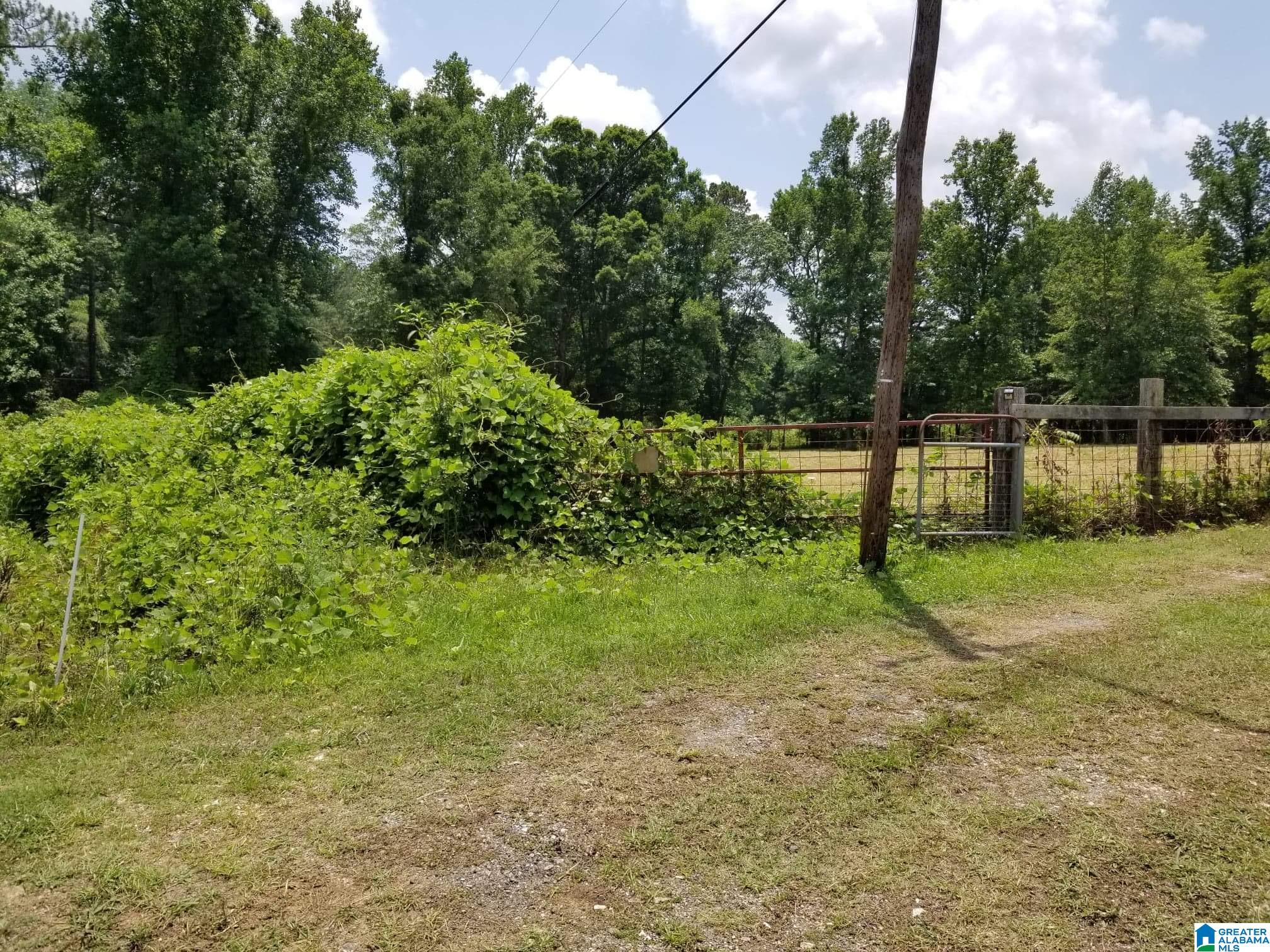 Honeycutt Road Remlap, AL 35133 - Photo 15 of 24