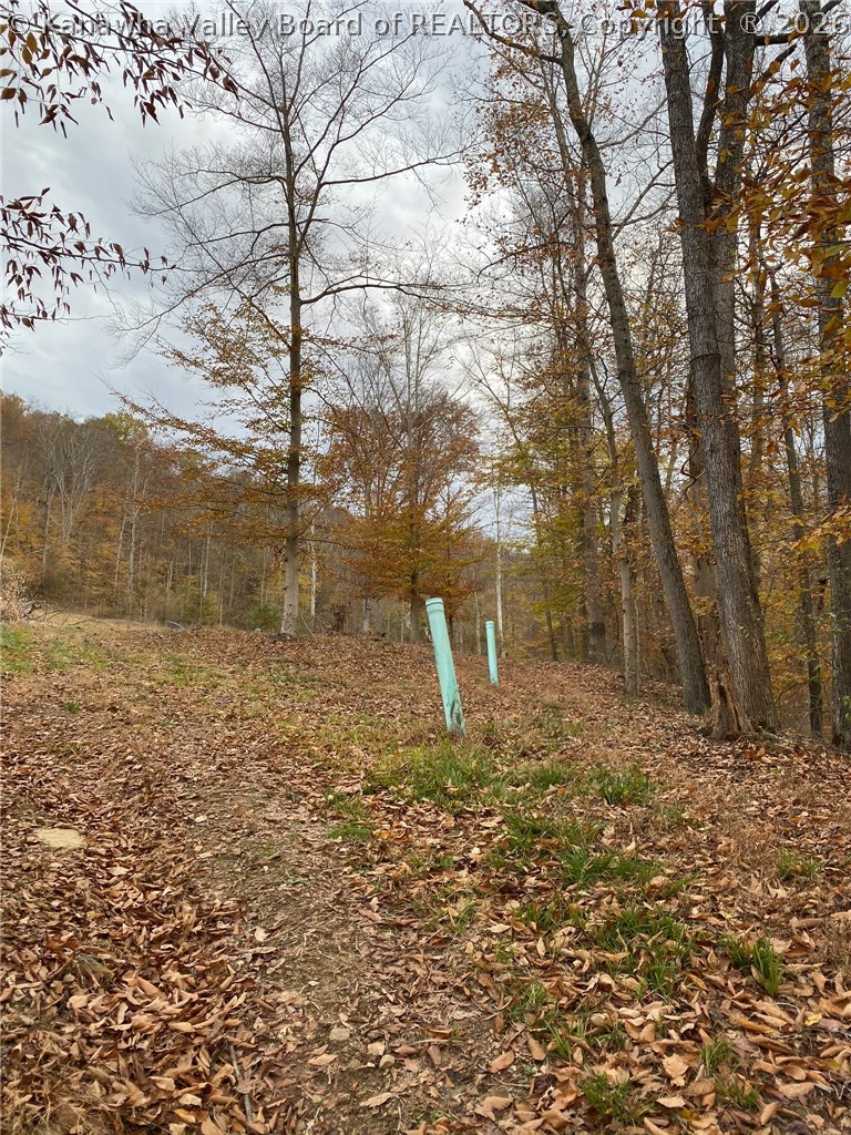 0 Poca River Road Poca, WV 25159 - Photo 6 of 30 Gallery Image 6