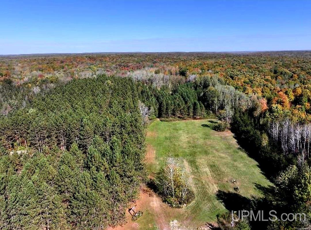 3702 Ferry Ranch Lane Wabeno, WI 54566 - Photo 65 of 66 Gallery Image 65