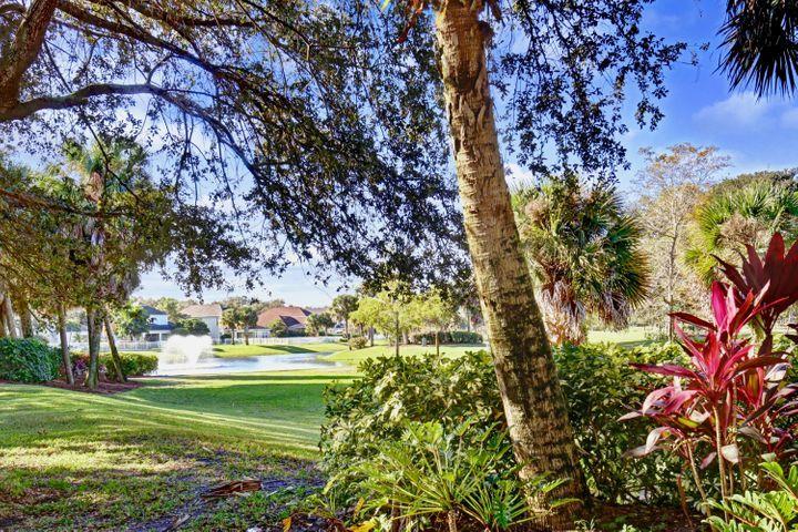 137 Courtenay Court Jupiter, FL 33458 - Photo 3 of 8 courtenay view water