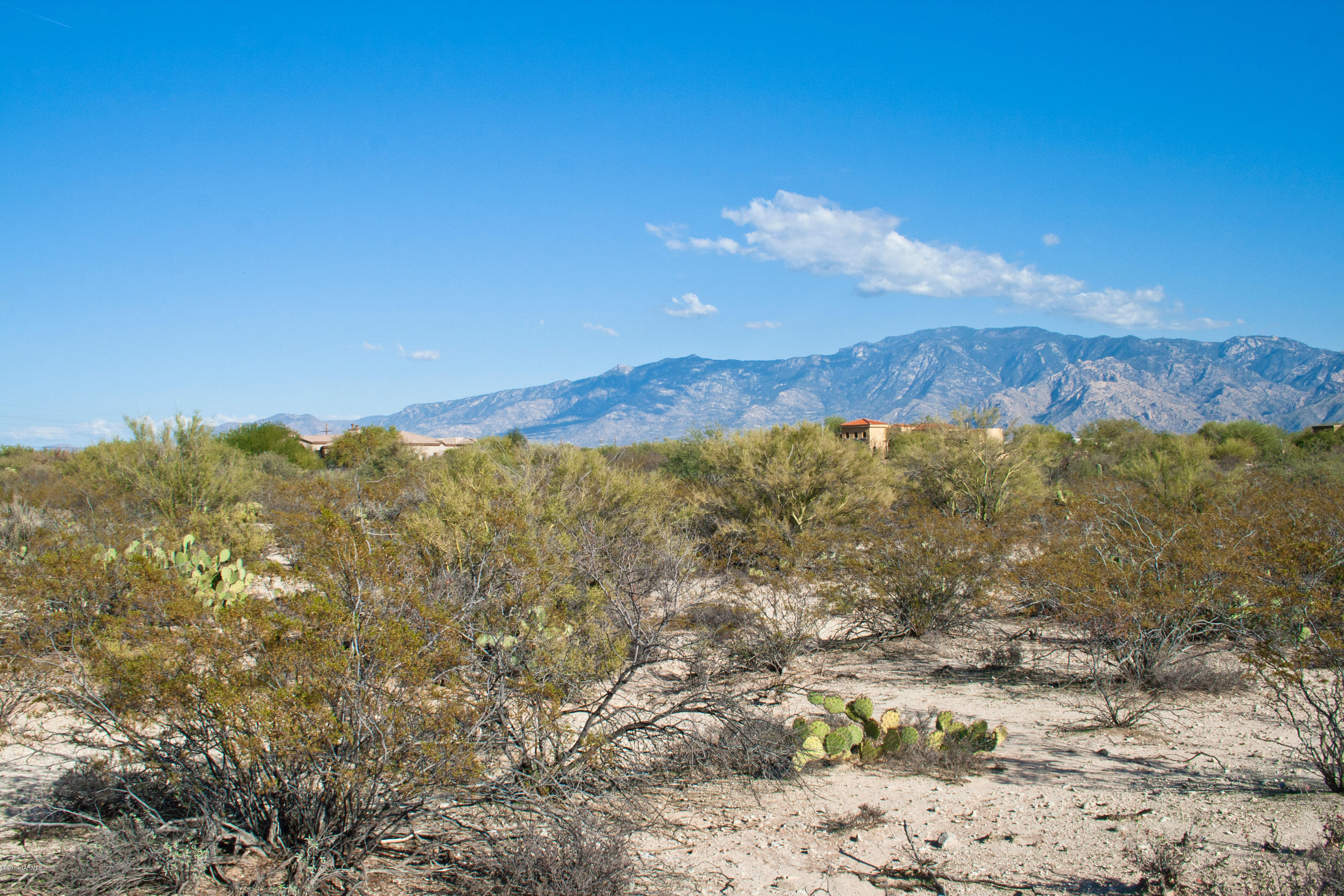 1697 West Moore Road Tucson, AZ 85755 - Photo 10 of 14 Gallery Image 10