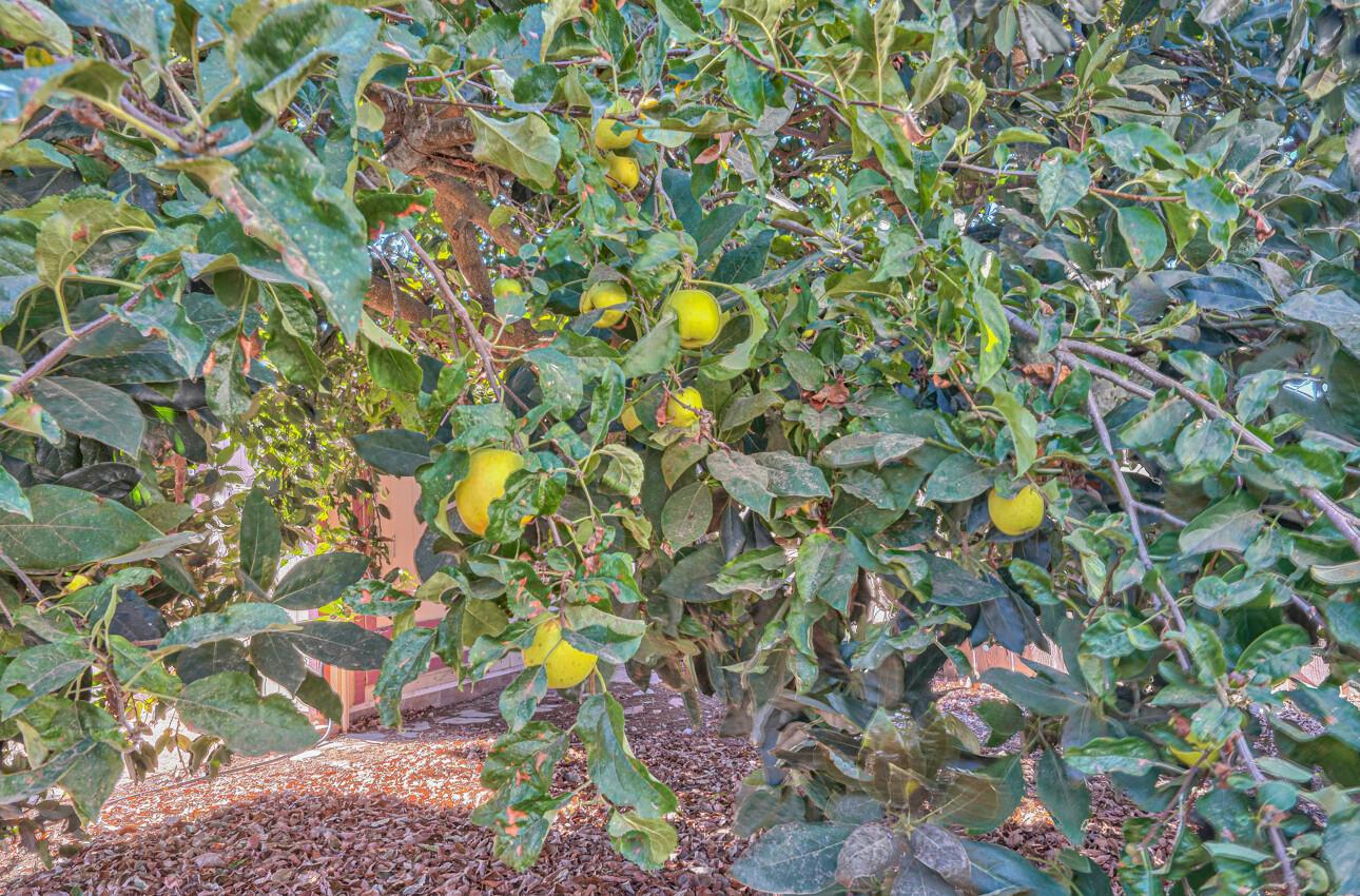 118 Enos Drive Salinas, CA 93908 - Photo 52 of 59