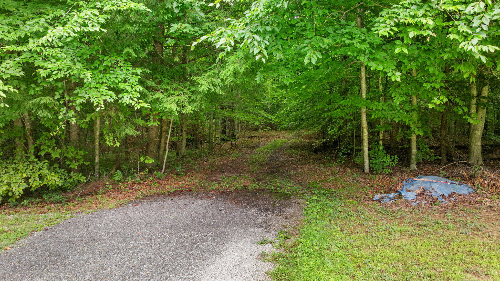 0 Mathis Road McKee, KY 40447 - Photo 19 of 39 29-web-or-mls-DJI_20260709092120_0084_D