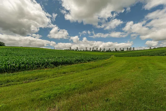 $313,942 | Lot 8 11.65 Acres Hefty, Monticello, WI 53570